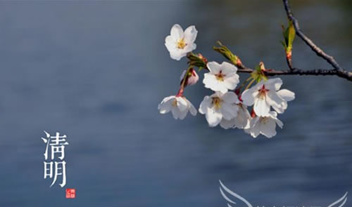 參觀110㎡現(xiàn)代簡(jiǎn)約新房，全屋不做造型，最愛(ài)餐廳的卡座設(shè)計(jì)  現(xiàn)代簡(jiǎn)約實(shí)景房圖片